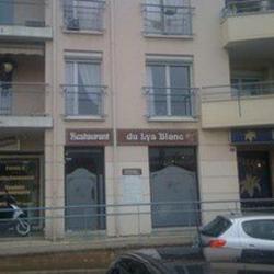 Pizza Des Lys