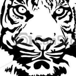 Le Tigre
