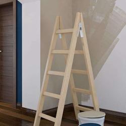 Pl Services