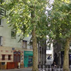 Place Ferdinand Soil
