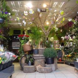 Place O Fleurs Fécamp