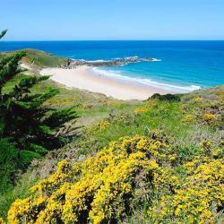 Plage De La Fosse