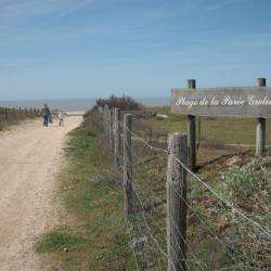 Plage De La Parée Grollier