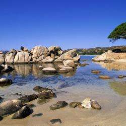 Plage De Palombaggia