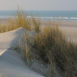 Plage De Zuydcoote