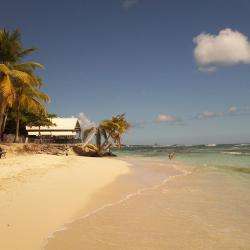 Plage Des Raisins Clairs