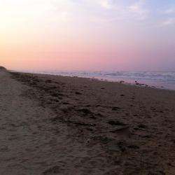 Plage Utah Beach