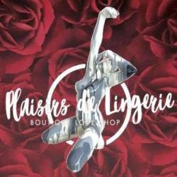 Plaisirs De Lingerie
