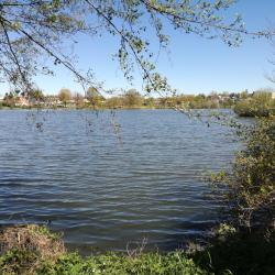 Plan D'eau Du Breuil