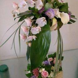 Planete Fleur