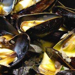 Planete Moules