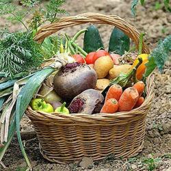 Planete Nature