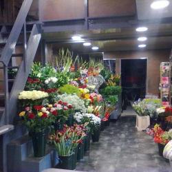 Planet'flor