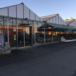 Plant Center Fleurs