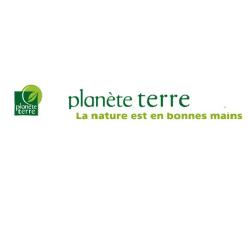 Plante Terre