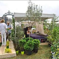 Plantes, Plaisirs, Passions