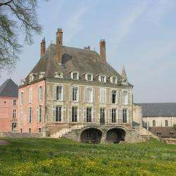 Plantes En Scène