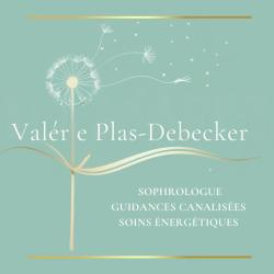 Plas-debecker Magnétiseur Energéticienne