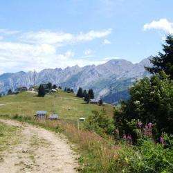 Plateau De Beauregard