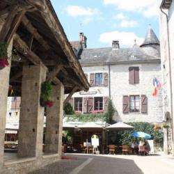 Plein Sud