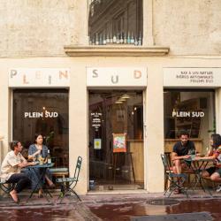 Plein Sud