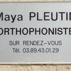 Pleutin Maya