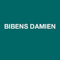 Bibens Damien
