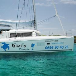 Plongée Martinique -aliotis Excursion Martinique