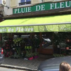 Pluie De Fleurs