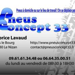 Pneus Concept 33