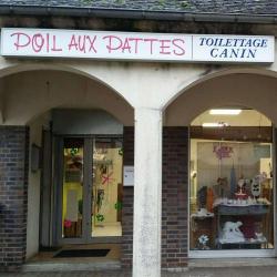 Poil Aux Pattes