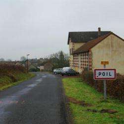 Poil