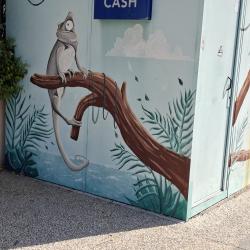 Point Cash   Brink's Dab