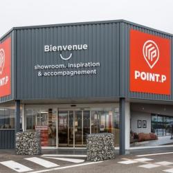 Point P