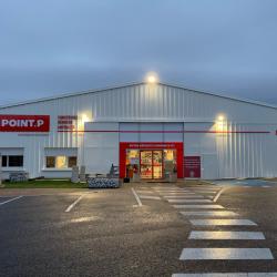 Point P