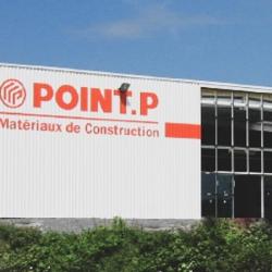 Point P
