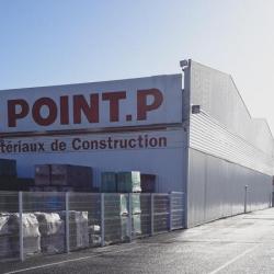 Point P