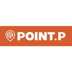 Point P
