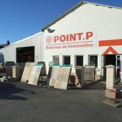 Point P