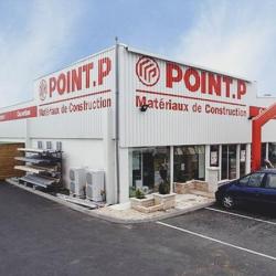 Point P