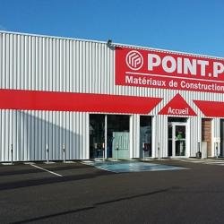 Point P
