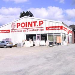 Point P