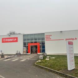 Point P
