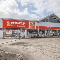 Point P