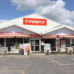 Point P