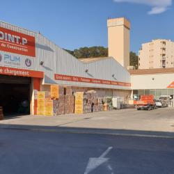 Point P