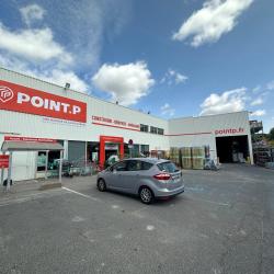Point P