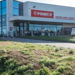 Point P