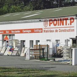 Point P