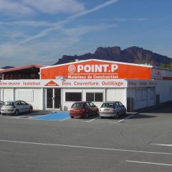 Point P